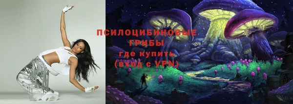 МДПВ Михайлов