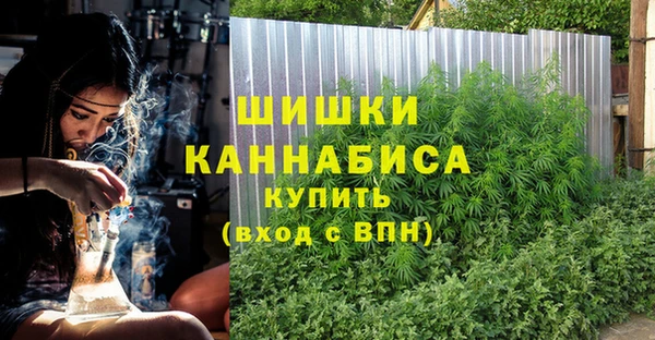МДПВ Михайлов