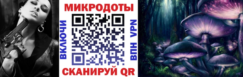 Псилоцибиновые грибы Psilocybe  kraken tor  Чегем 