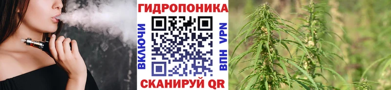 блэк спрут как зайти  Чегем  Каннабис индика 